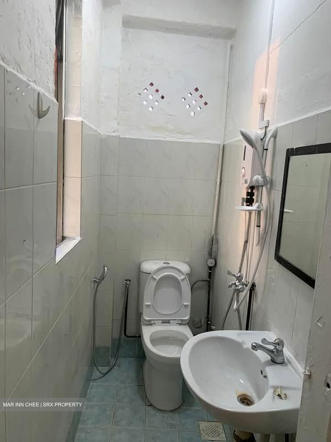 Lorong 23 Geylang (D14), Shop House #602332031